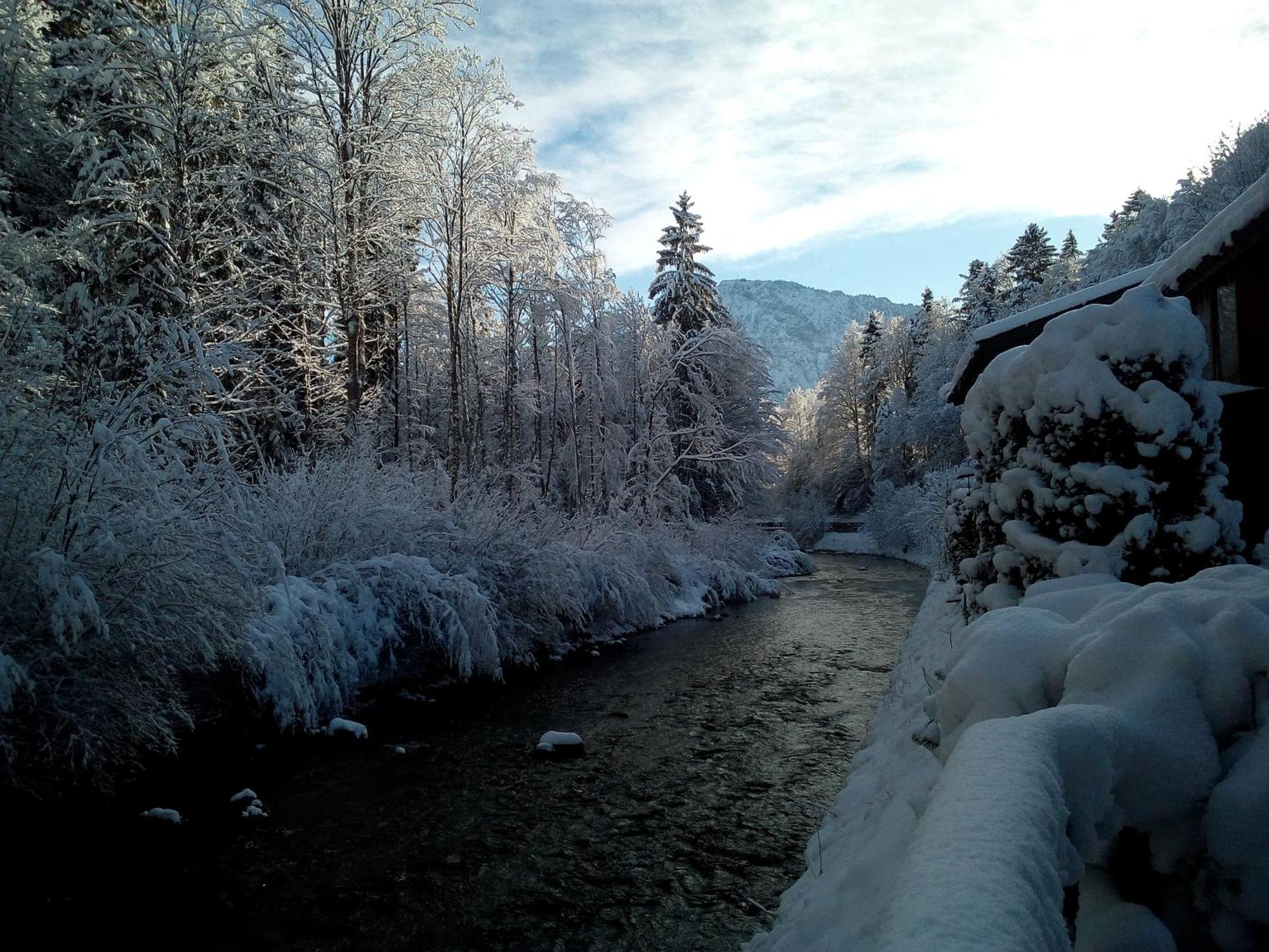 Ferienwohnung Kaidisch - Reiter Inkl. Chiemgaukarte Ruhpolding Buitenkant foto